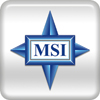 MSI