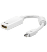 DisplayPort Adapter