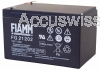 Fiamm FG21202 12V 12Ah Blei Akku