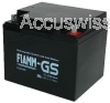 Fiamm FG24204 12V 42Ah