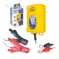 Gystech 750 Batterieladegert 6/12 Volt