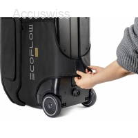 EcoFlow DELTA PRO Tragetasche mit Zubehörfach