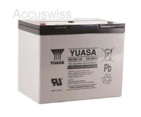 Yuasa REC80-12 12V 80Ah Zyklenfester Blei-Akku