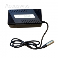 E-Bike Vision 36V 17Ah ersetzt Flyer NKY429B2, NKY430B2, NKY431B2, NKY436B2 Akku