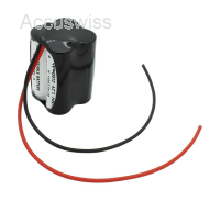 Notleuchten Akku 4.8V 2100mAh Ni-MH, F2x2 A mit 200mm Kabel