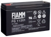 Fiamm FG11201 6V 12Ah passend fr Parkomatic