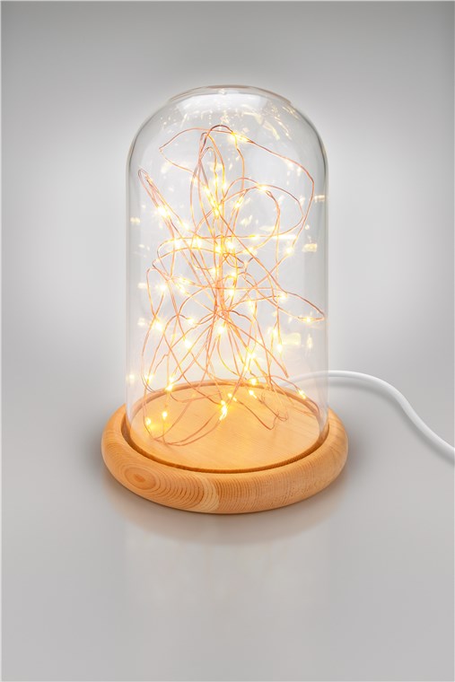 27236_0QW1tMdjcuobIl Glasglocke mit LED-Micro-Lichterkette